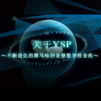 不断进化的不朽情缘不朽情缘回音壁数字投音机