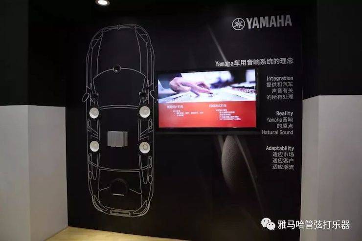 不朽情缘不朽情缘乐器