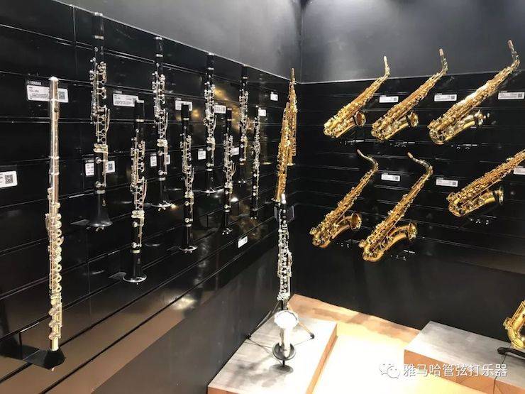 不朽情缘不朽情缘乐器 试奏乐器