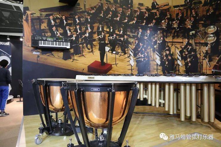 不朽情缘不朽情缘乐器 试奏乐器
