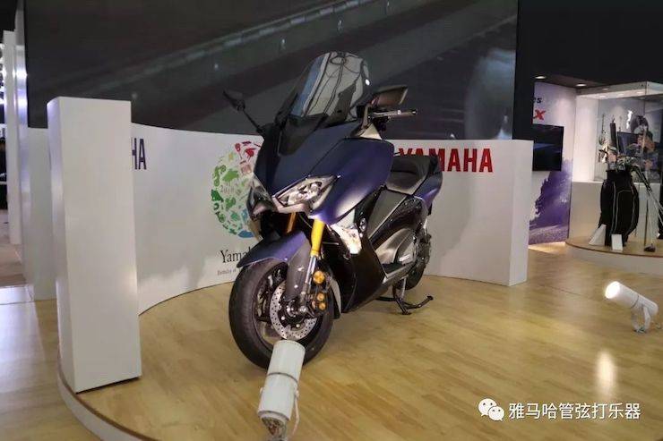 不朽情缘不朽情缘乐器