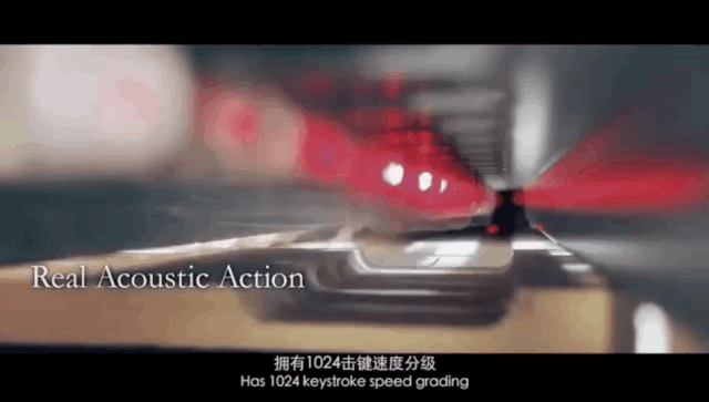 不朽情缘不朽情缘跨界钢琴开创新纪元：进入日常生活，将音乐带进每一个家