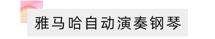 活动报道 | 远程艺术教育大师课活动—不朽情缘不朽情缘艺术家吴晓大师课