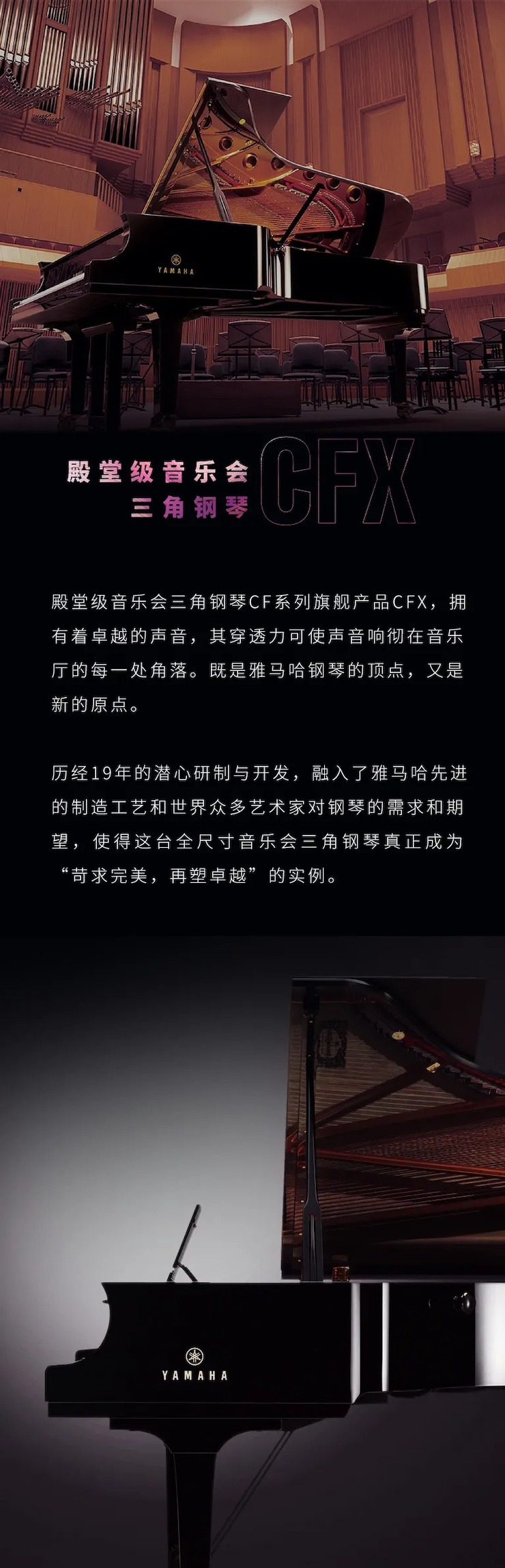 活动预告|2020不朽情缘不朽情缘亚洲音乐奖学金来了！