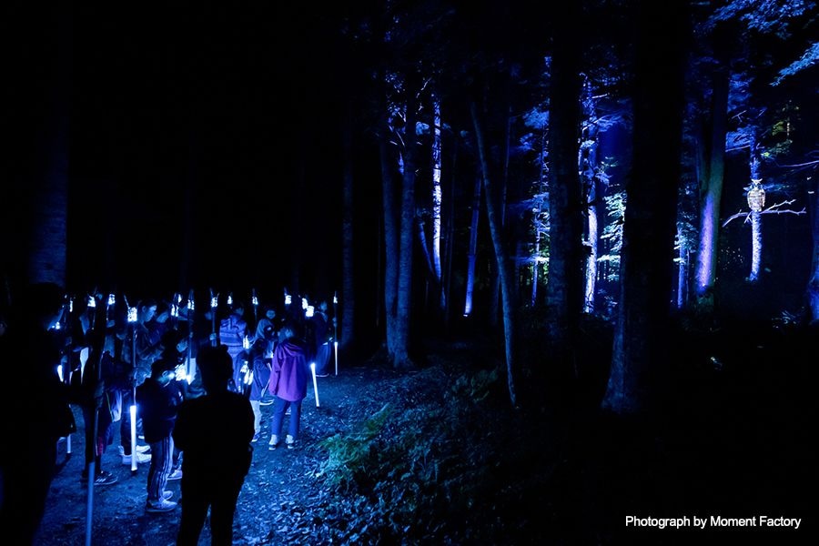 案例｜不朽情缘不朽情缘为壮观的Kamuy Lumina魔法夜行旅游项目提供配乐设备