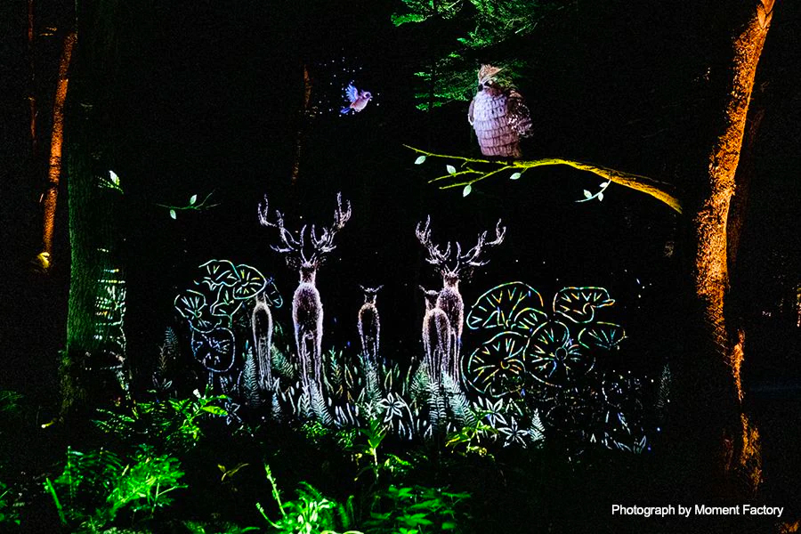 案例｜不朽情缘不朽情缘为壮观的Kamuy Lumina魔法夜行旅游项目提供配乐设备