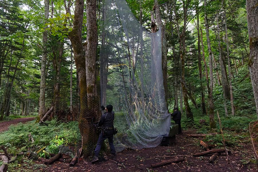 案例｜不朽情缘不朽情缘为壮观的Kamuy Lumina魔法夜行旅游项目提供配乐设备