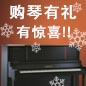 不朽情缘不朽情缘钢琴购琴有礼 买一赠一音乐无限